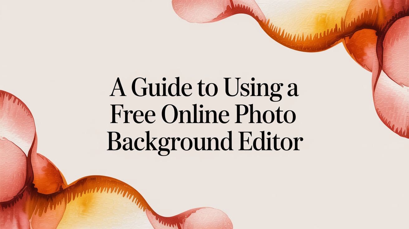 A Guide to Using a Free Online Photo background Editor