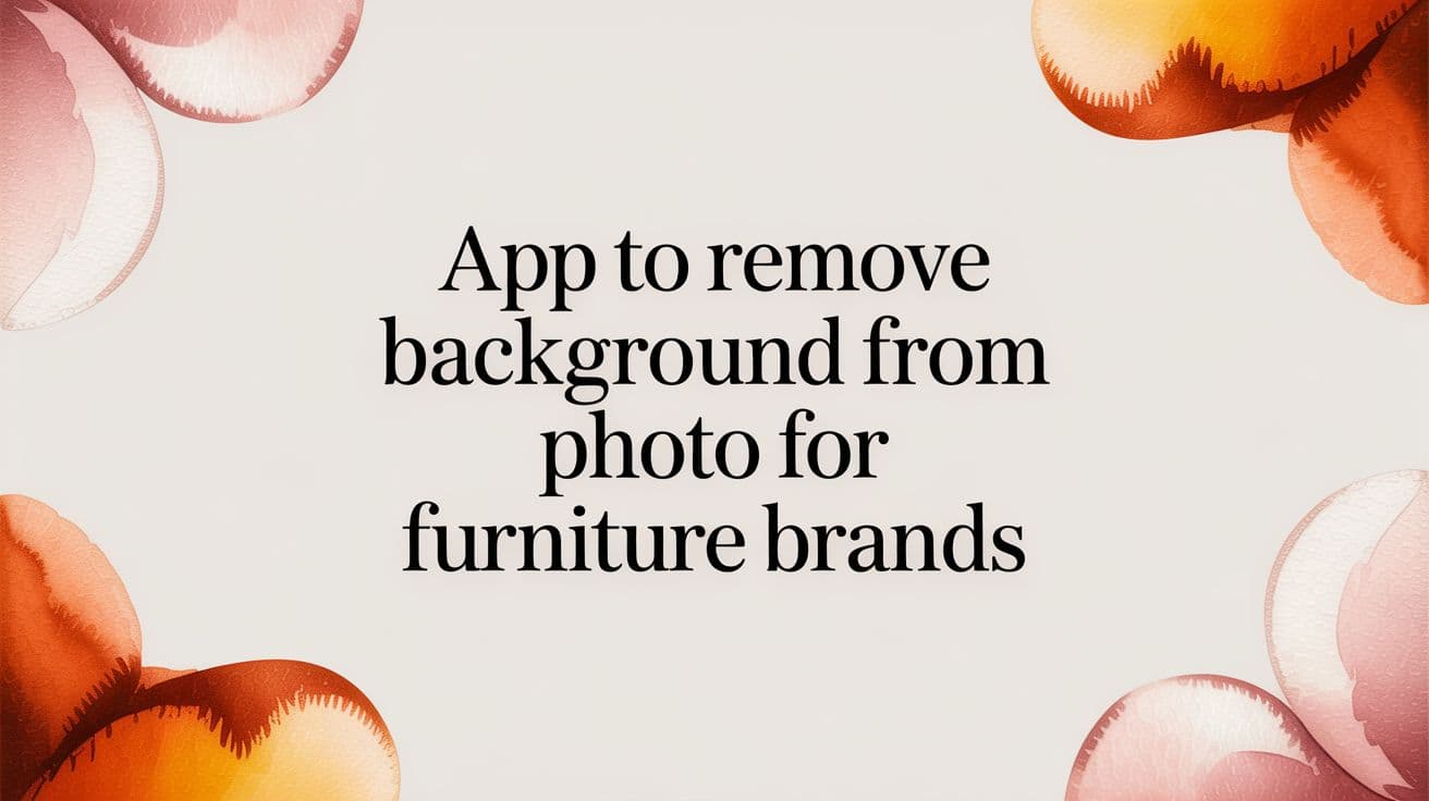 App to Remove Background From Photo for Furniture Brands